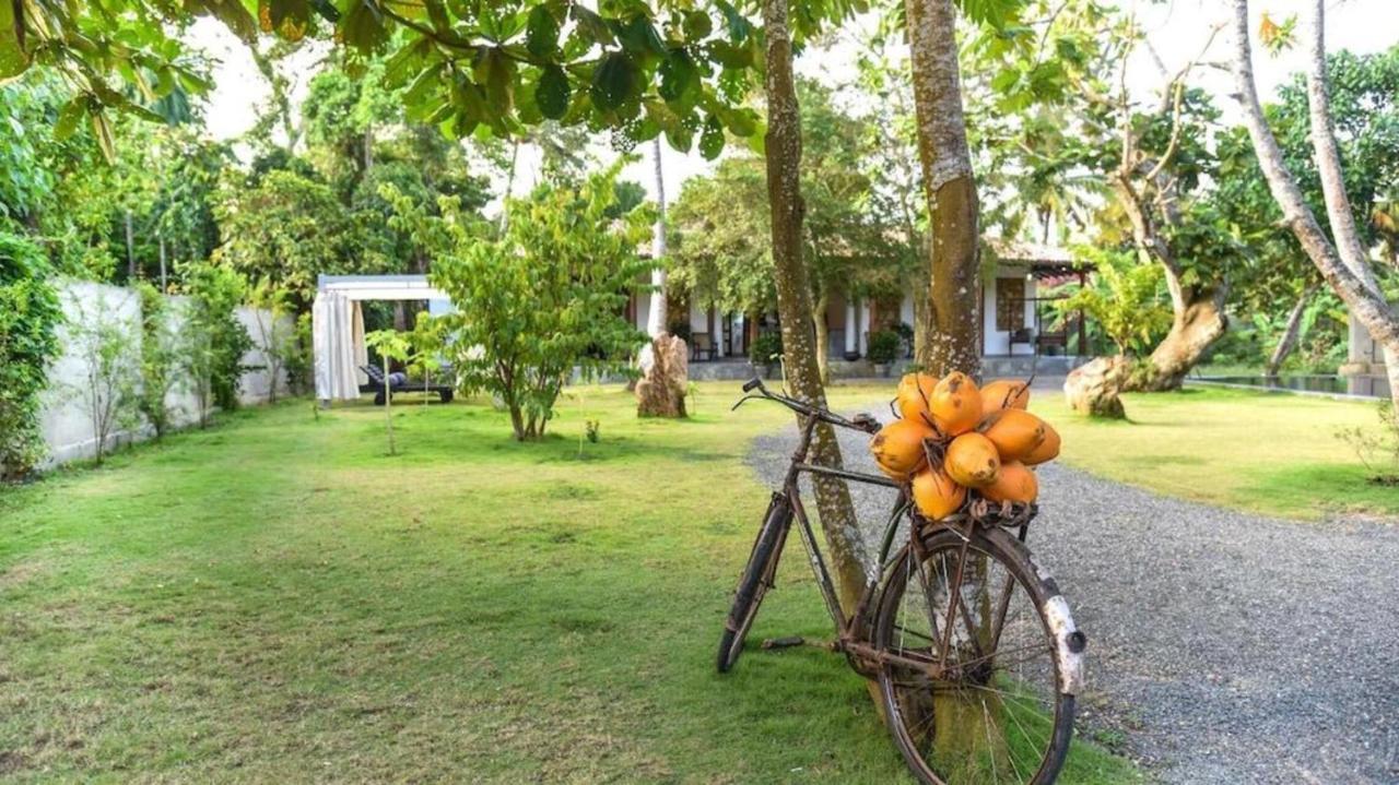 Antique Ceylon Villa Ahangama Exterior foto